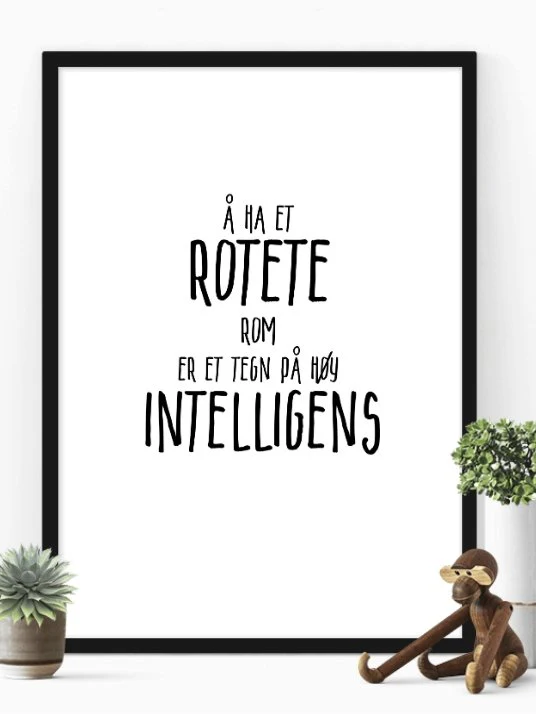 Produktbilde 1