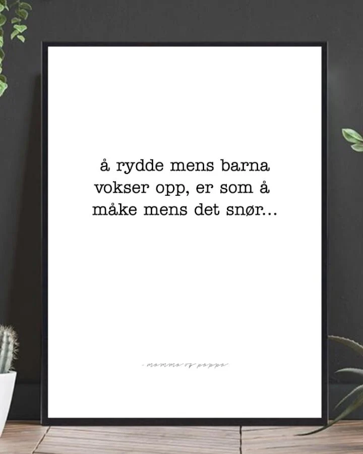 Produktbilde 2