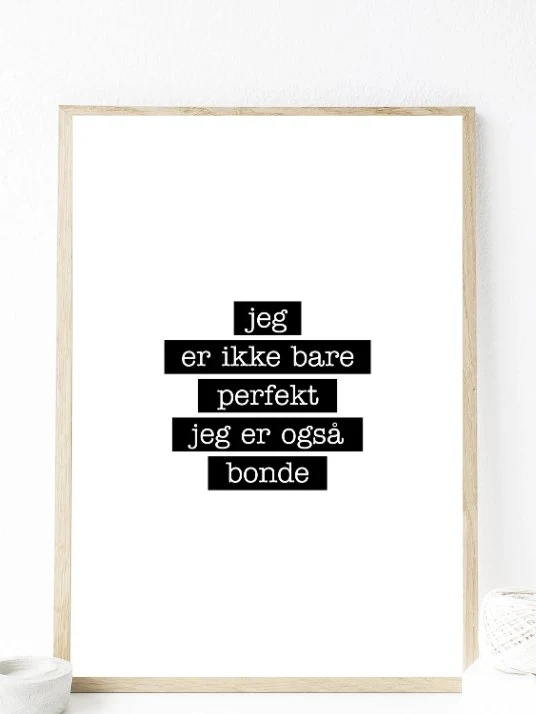 Produktbilde 1
