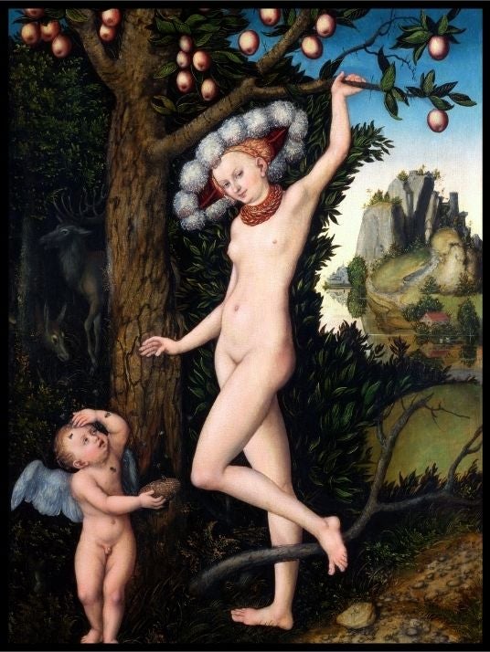 Produktbilde 1