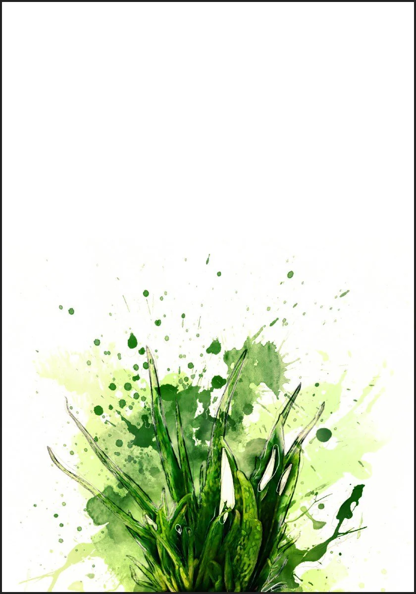 Produktbilde 2