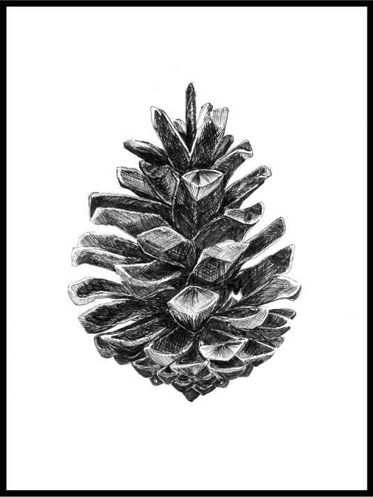 Produktbilde 1