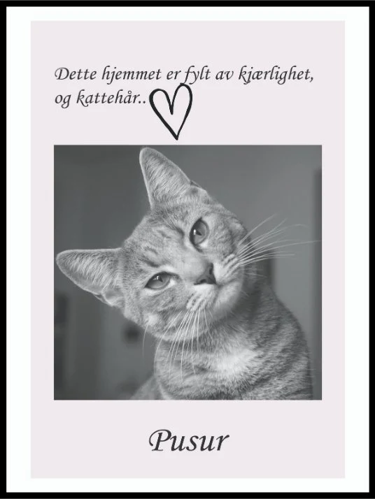 Produktbilde 1