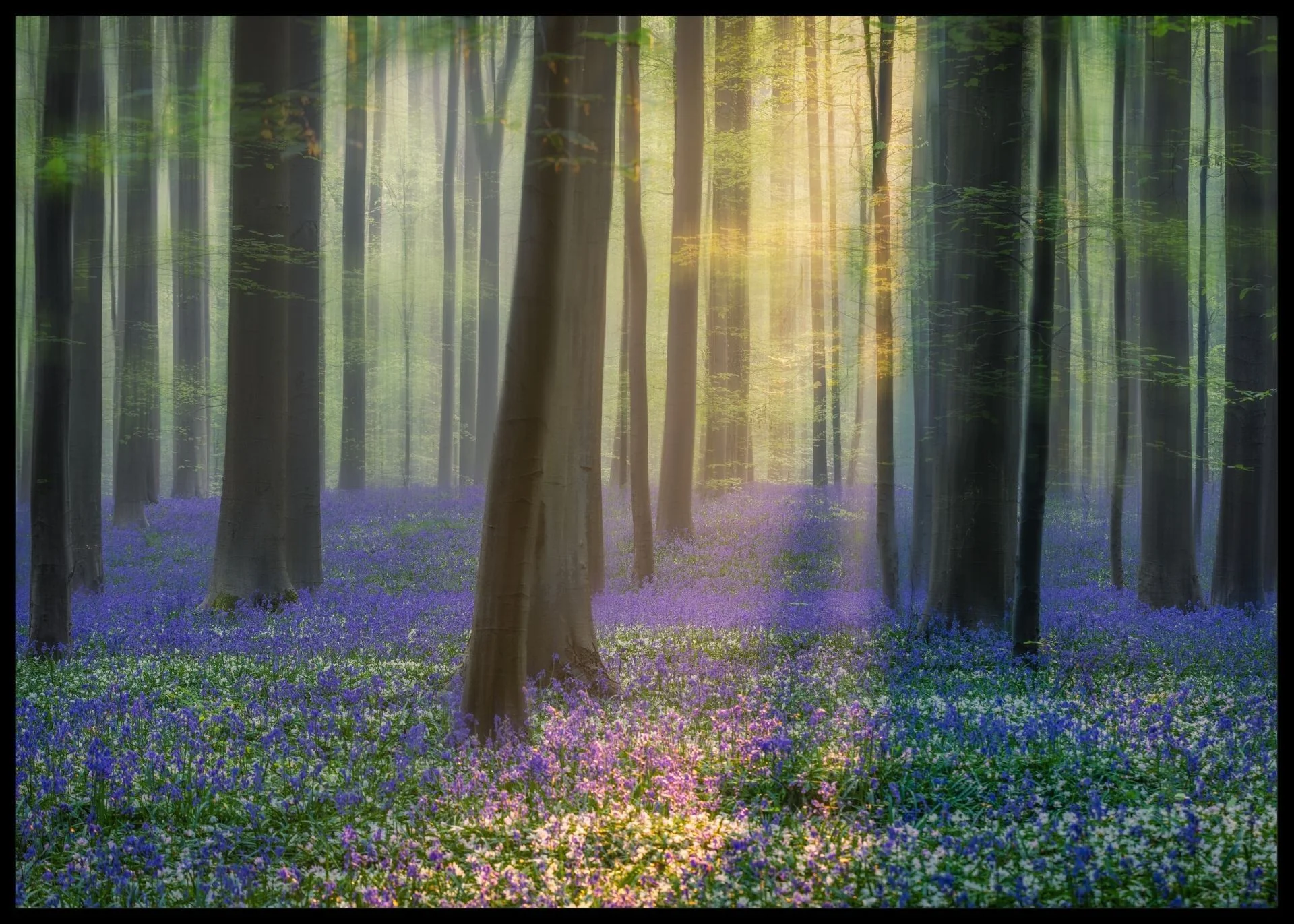 Produktbilde 1