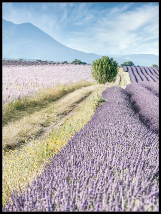 Produktbilde 1