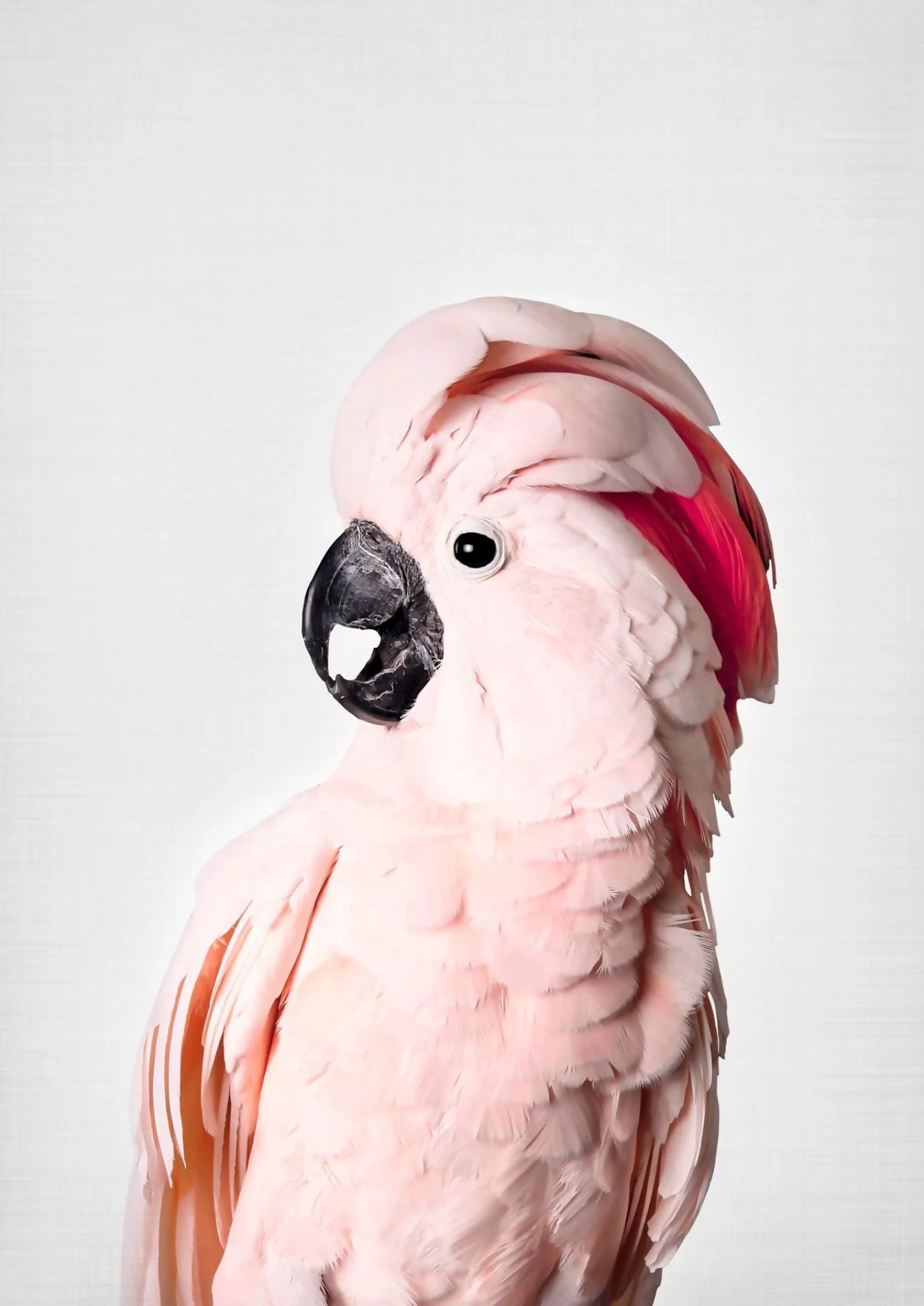 Produktbilde 2