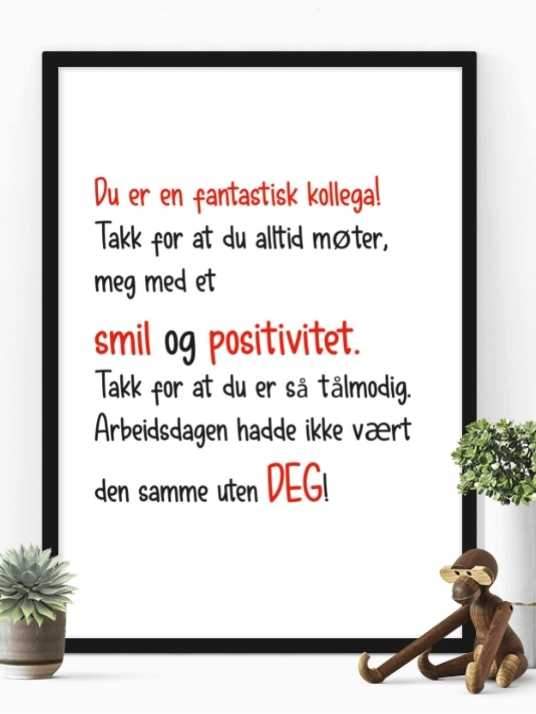 Produktbilde 2