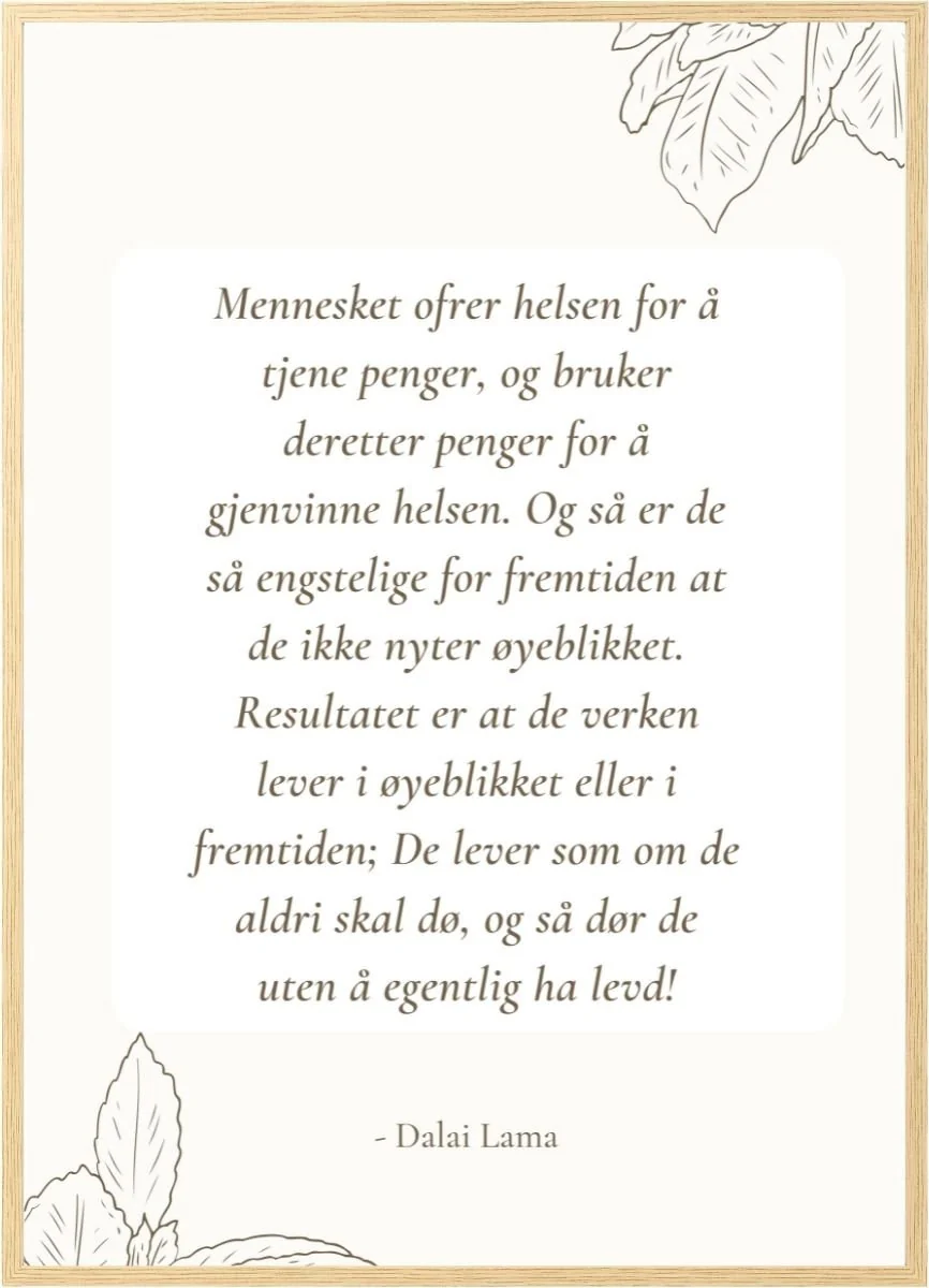 Produktbilde 1