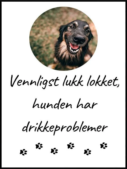 Produktbilde 1