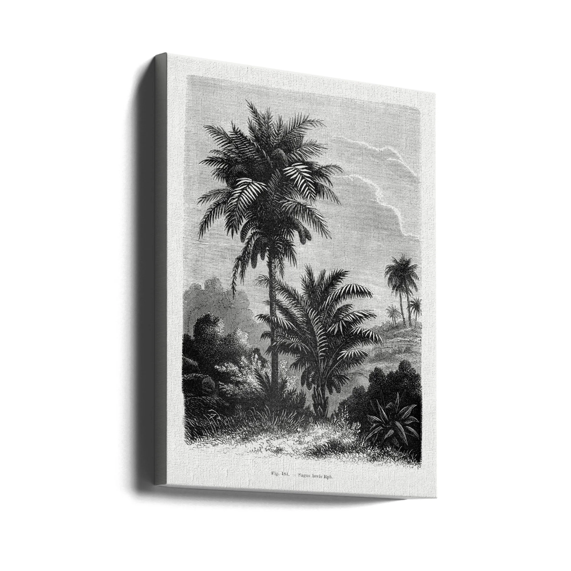 Produktbilde 5